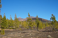 742_SS001881.jpg