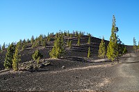 745_SS001885.jpg
