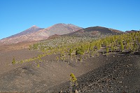 748_SS001888.jpg