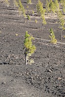 749_SS001889.jpg