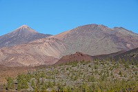 752_SS001891.jpg