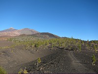 754_IMG_1614.jpg