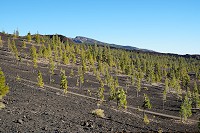 755_SS001892.jpg