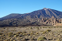 771_SS001914.jpg
