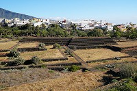 790_SS001921.jpg