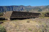 800_SS001931.jpg