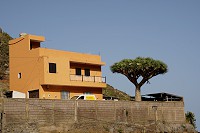 155_SS005641.jpg