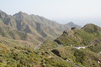 161_SS005652.jpg