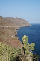 170_SS005671.jpg