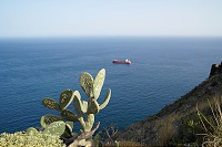 172_SS005673.jpg