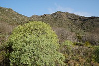 189_SS005690.jpg