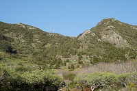190_SS005691.jpg