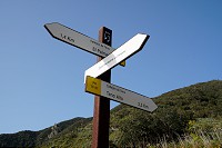 192_SS005694.jpg
