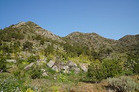 193_SS005695.jpg