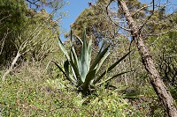 196_SS005698.jpg