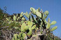 205_SS005723.jpg