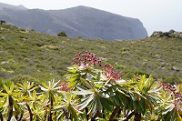 222_SS005747.jpg