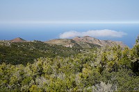 225_SS005751.jpg