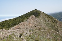 232_SS005764.jpg