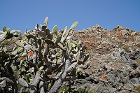 234_SS005767.jpg