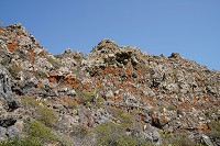 235_SS005768.jpg