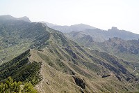 245_SS005780.jpg