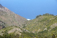 247_SS005783.jpg