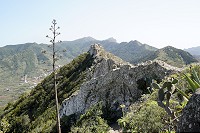 256_SS005795.jpg