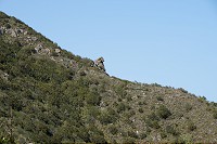258_SS005800.jpg