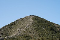 259_SS005801.jpg