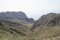 262_SS005804.jpg