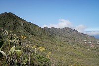264_SS005809.jpg