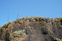 268_SS005819.jpg