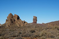 282_SS005825.jpg