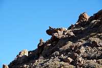 285_SS005832.jpg