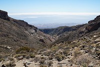 314_SS005880.jpg