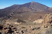 379_SS005972.jpg