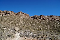381_SS005974.jpg