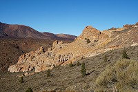 392_SS005992.jpg