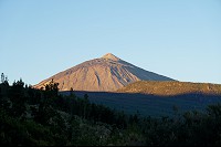 404_SS006009.jpg