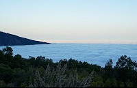 405_SS006012.jpg