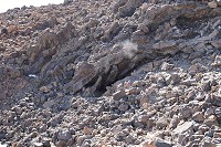 440_SS006084.jpg