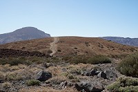 444_SS006092.jpg