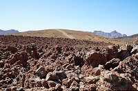 445_SS006094.jpg