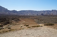 454_SS006104.jpg