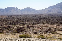 455_SS006105.jpg