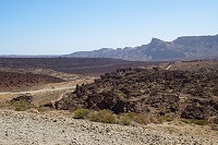 456_SS006106.jpg
