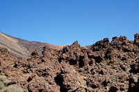 461_SS006116.jpg