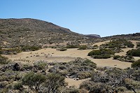 462_SS006119.jpg