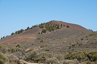 463_SS006120.jpg